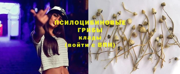 первитин Богданович