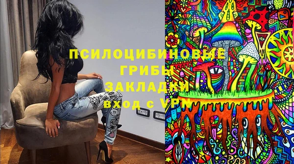 молекула духа Белоозёрский