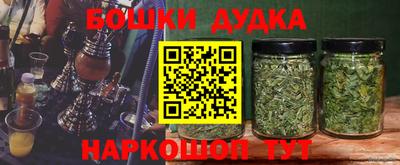 соль ск Кингисепп