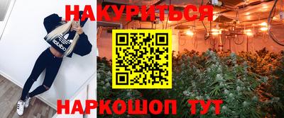 соль ск Кингисепп