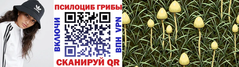 Галлюциногенные грибы Magic Shrooms  маркетплейс состав  Валуйки 
