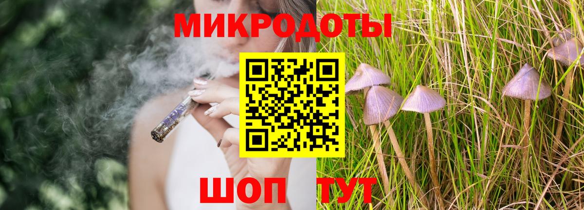 Галлюциногенные грибы Psilocybe  Валуйки 